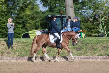 Bild 332 - Pony Akademie Turnier